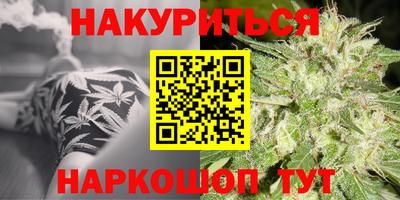шишки Гатчина