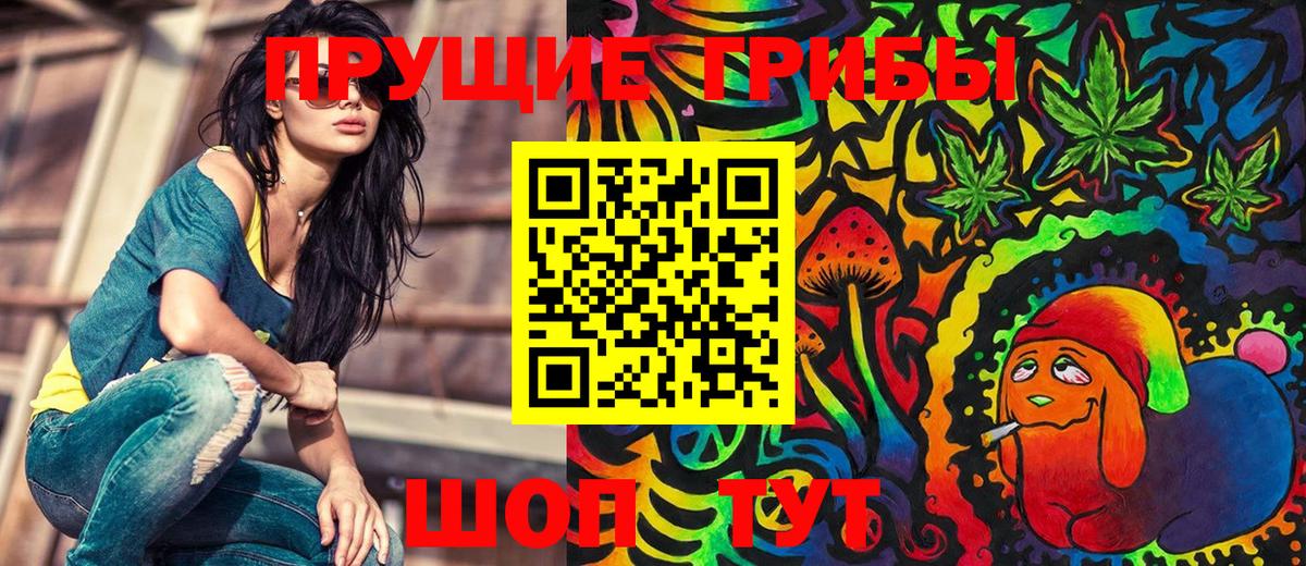 Галлюциногенные грибы прущие грибы  Вход с VPN  Галлюциногенные грибы мухоморы  Новосибирск 