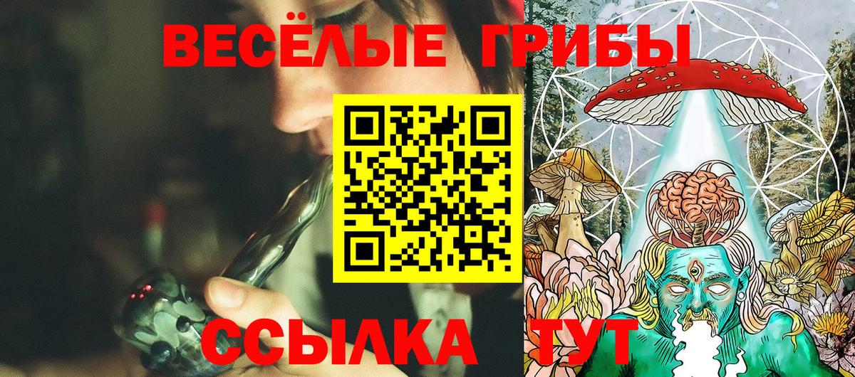 Псилоцибиновые грибы мухоморы Новосибирск